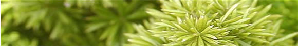 Header image number 8 of header